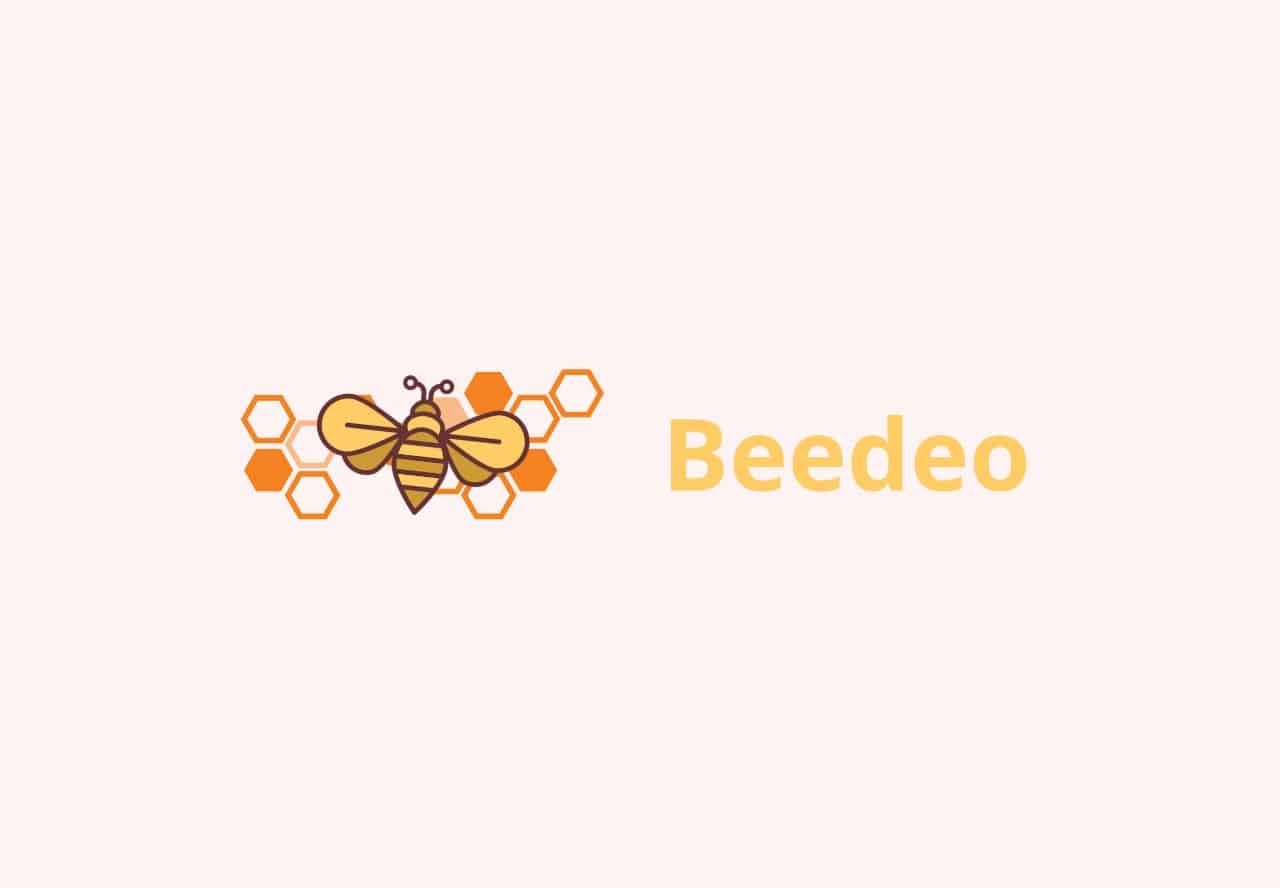 Beedeo Lifetime Deal on Dealmirror