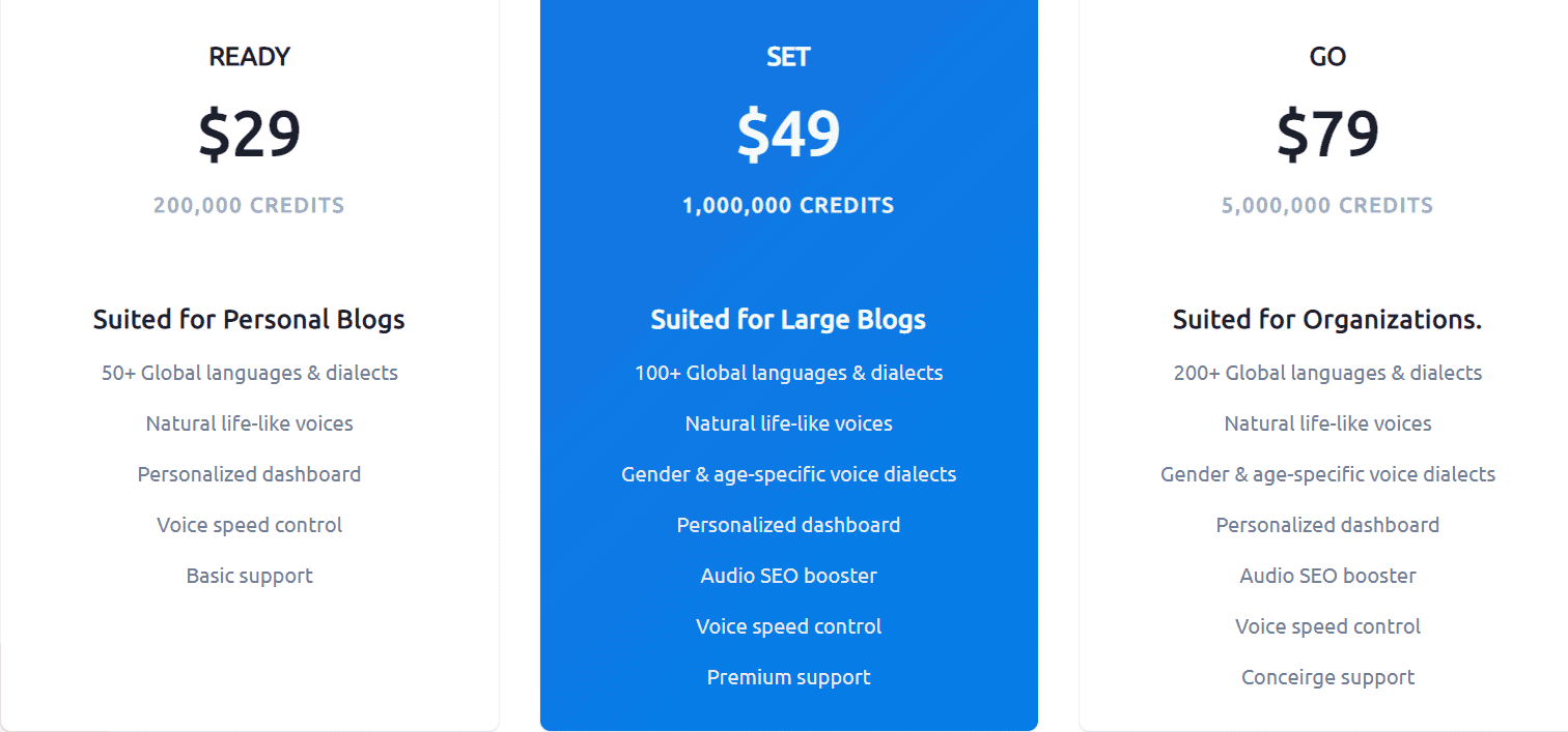 Voicera Price 