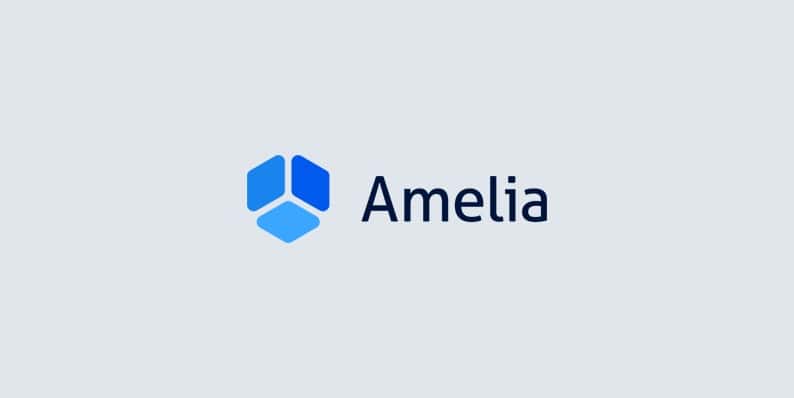 WPAmelia Black Friday Deal 4