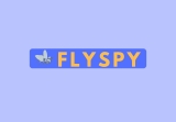 FlySpy Lifetime Deal: Track Visitors Engagement on your website