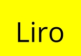 Liro Pro Lifetime Deal: Auto Captions for Videos