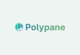 Polypane Lifetime Deal: Build Responsive Websites