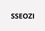 SSEOZI Lifetime Deal: SEO and Web analyser tool
